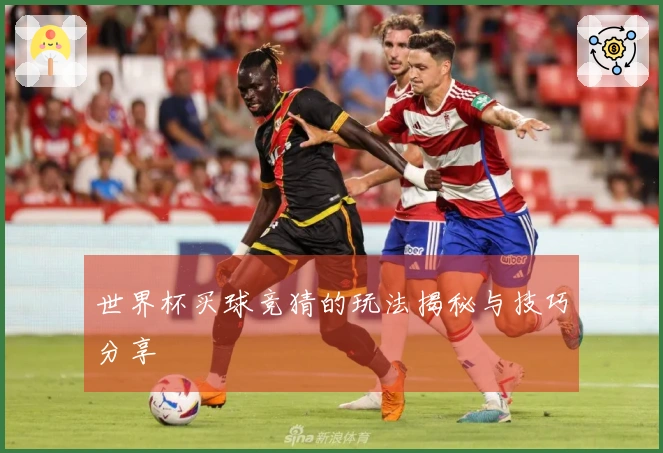 世界杯买球竞猜的玩法揭秘与技巧分享